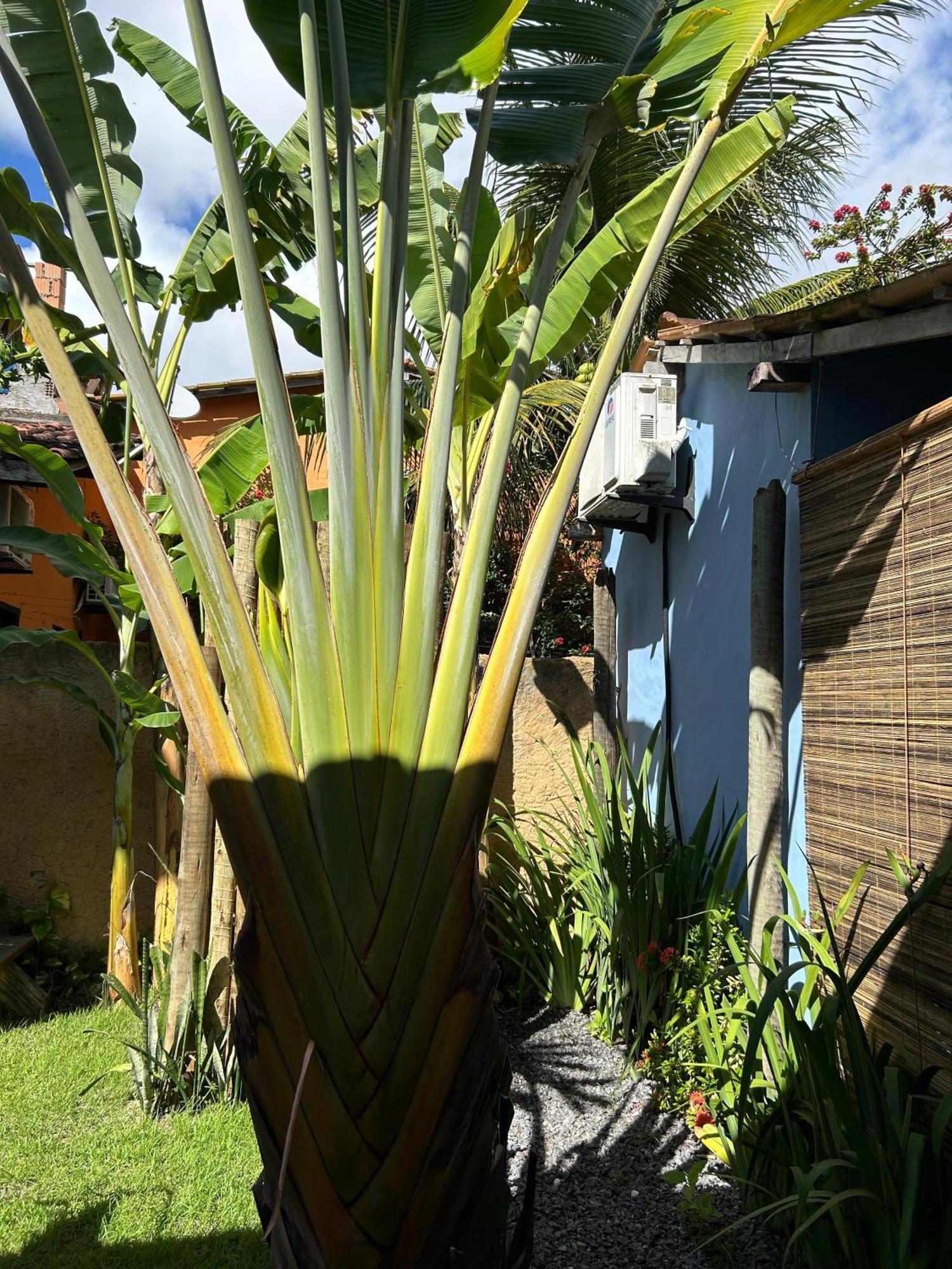 Hotel Casa Aratu - Caraíva Extérieur photo